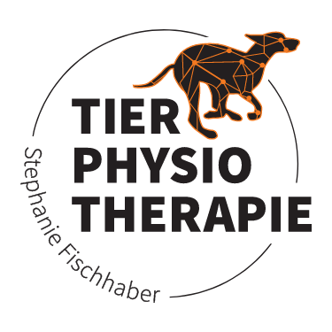 Stephi Fischhaber Logo